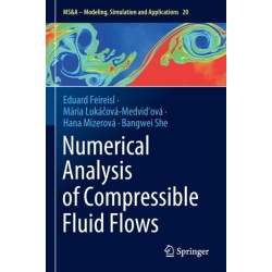 Numerical Analysis of Compressible Fluid Flows