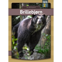 Brillebjørn