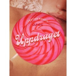 Uppdraget - erotisk novell