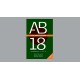 AB 18 for praktikere 2.udgave