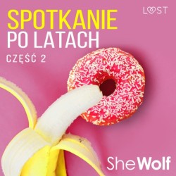 Spotkanie po latach 2 – opowiadanie erotyczne