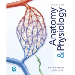 Anatomy & Physiology