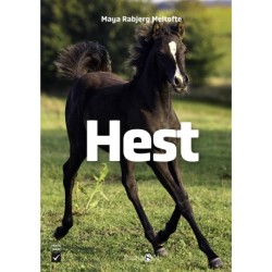 Hest