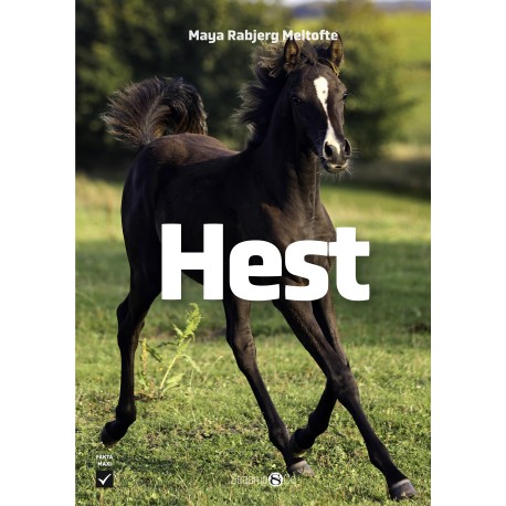 Hest