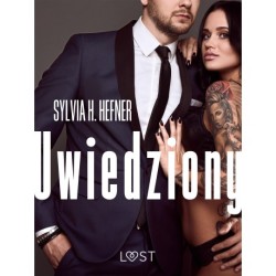 Uwiedziony – opowiadanie erotyczne