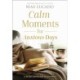 Calm Moments for Anxious Days: A 90-Day Devotional Journey (90 Daily Devotions, with Journal Prompts, to Promote Wellness and Peace and Decrease Worry and Stress)