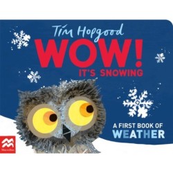 WOW! It's Snowing: A First Book of Weather