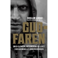 Gudfaren : om B-gjengen, integrering og livet i den kriminelle underverden