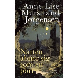 Natten åbner sig som en port: Roman over Det nye Testamente