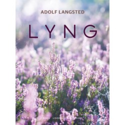 Lyng
