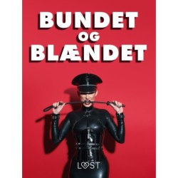 Bundet og blændet - erotiske noveller