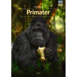 Primater