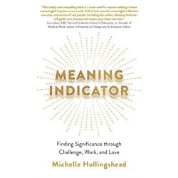 Meaning Indicator: Finding Significance through Challenge, Work, and Love