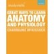 Great Ways to Learn Anatomy and Physiology
