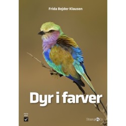 Dyr i farver