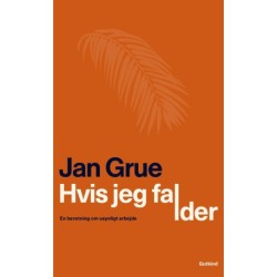 Hvis jeg falder: En beretning om usynligt arbejde