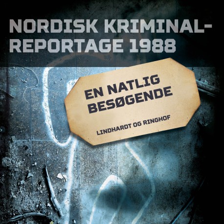 En natlig besøgende