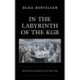 In the Labyrinth of the KGB: Ukraine's Intelligentsia in the 1960s–1970s