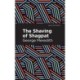 The Shaving of Shagpat: A Romance
