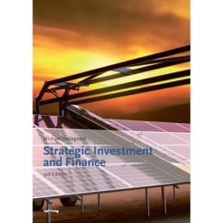 Strategic Investment and Finance