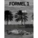 Formel 1: Af dem der var der