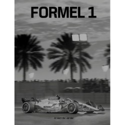 Formel 1: Af dem der var der