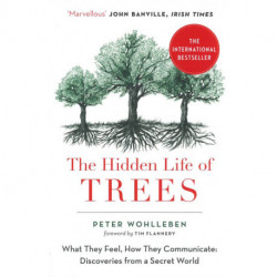 The Hidden Life of Trees: What They Feel, How They Communicate