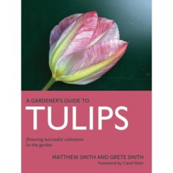 Tulips: Ensuring Successful Cultivation in the Garden