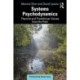 Systems Psychodynamics: Theorist and Practitioner Voices from the Field