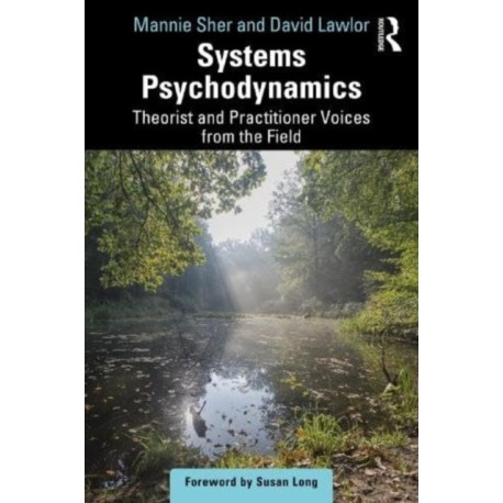 Systems Psychodynamics: Theorist and Practitioner Voices from the Field