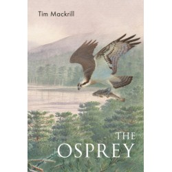 The Osprey