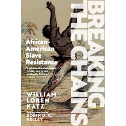 Breaking the Chains: African-American Slave Resistance
