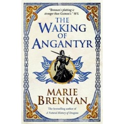 The Waking of Angantyr