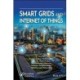 Smart Grids and Internet of Things: An Energy Perspective