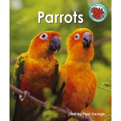 Parrots