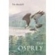 The Osprey