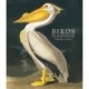 Birds: The Art of Ornithology (Pocket edition)