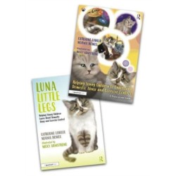 Helping Young Children to Understand Domestic Abuse and Coercive Control: A ‘Luna Little Legs’ Storybook and Professional Guide