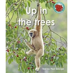 Up in the trees