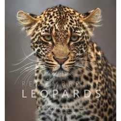 Remembering Leopards