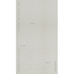 Frida Escobedo Book of Hours