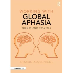 Working with Global Aphasia: Theory and Practice