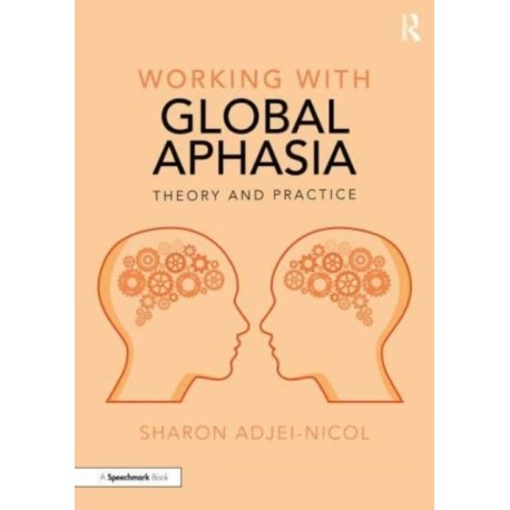 Working with Global Aphasia: Theory and Practice