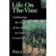 Life on the Vine – Cultivating the Fruit of the Spirit