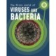 The Micro World of Viruses and Bacteria