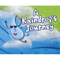 A Raindrop's Journey