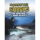 Swimming with Sharks: From Adventurers to Marine Biologists