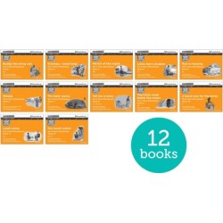 Read Write Inc. Phonics: Orange Set 4 More Black & White Storybooks (Pack of 12)