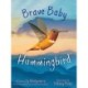 Brave Baby Hummingbird