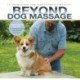 Beyond Dog Massage: A Breakthrough Method for Relieving Soreness and Achieving Connection